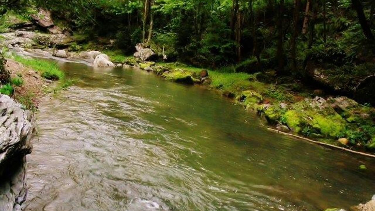 Esprit SudEst : Vente de propriété en ARDECHE de particulier à particulier