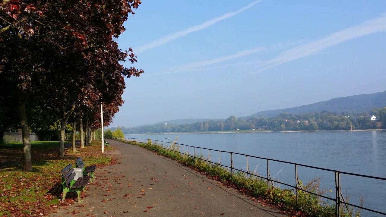 1-10-2014 morgens am Rhein
