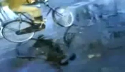 Funny winter fails - Video Dailymotion