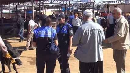 K.maraş Kurbanlık Satıcılarına Sahte Para ve Dolandırıcılık Uyarısı