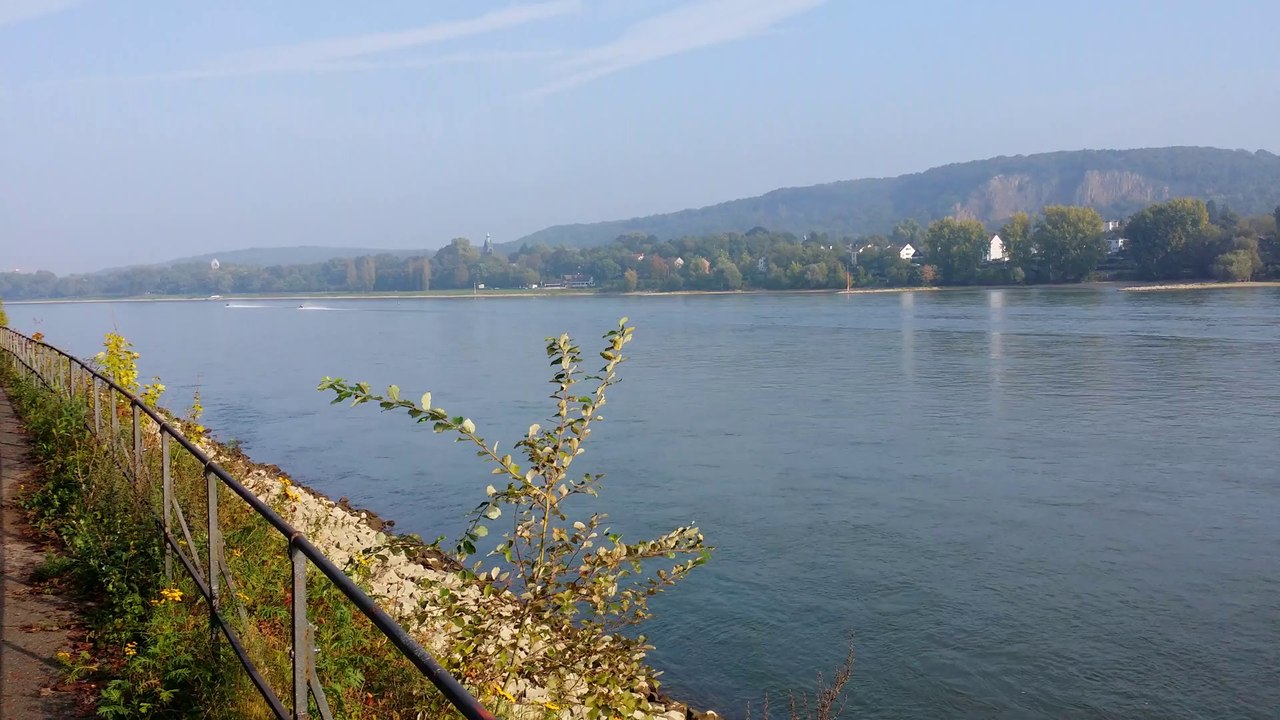 Wasser Ski auf dem Rhein