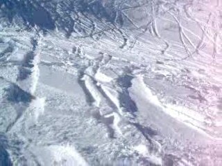 Double Back Flip de POTORAPH