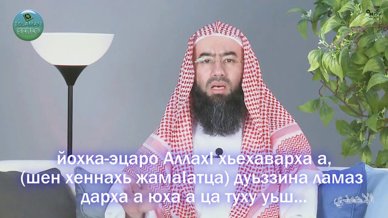 15-гIа де: Дог-ойла маьждигашца латтор