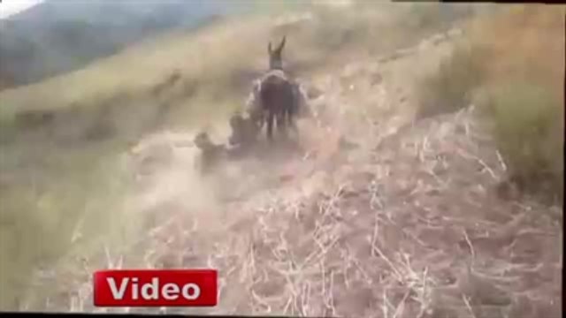 Bu Görüntüler Tıklanma Rekorları Kırıyor