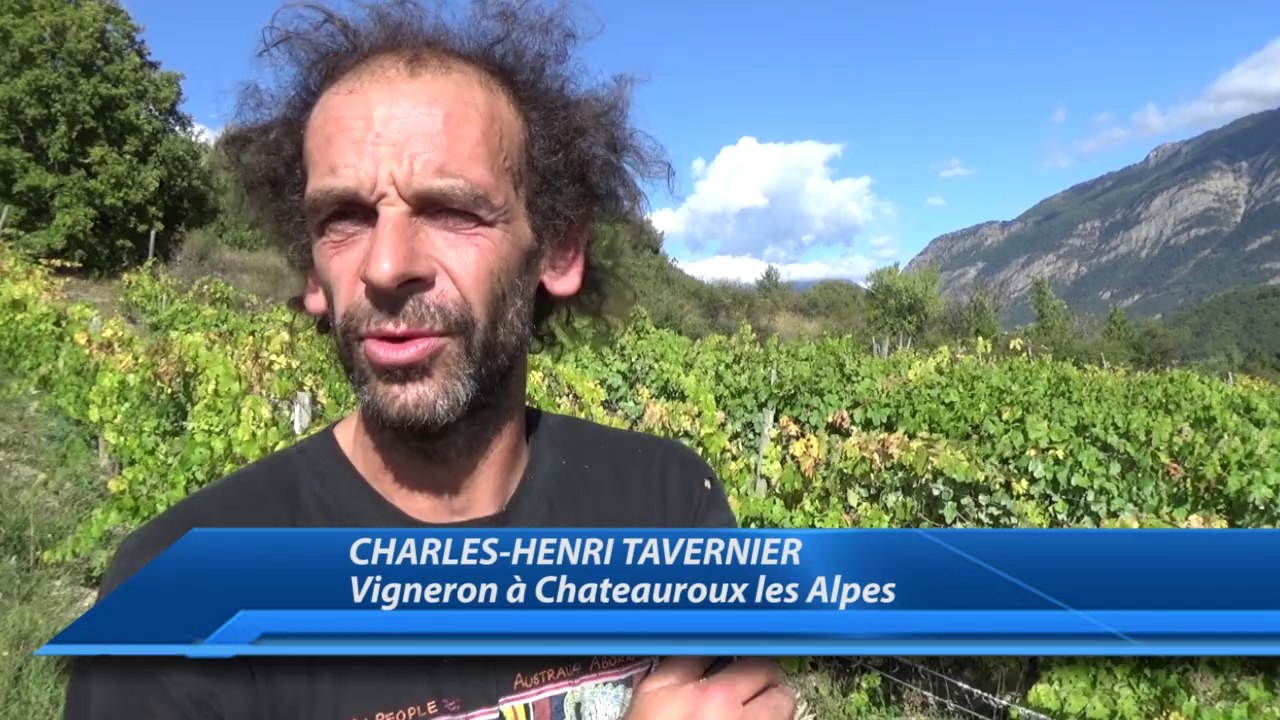 Hautes-Alpes : Interview de Charles-Henri TAVERNIER - Vigneron à Chateauroux les Alpes