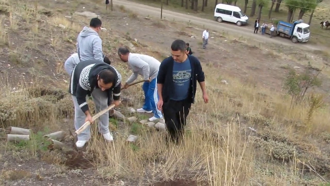 Ağaç Kampanyası-2