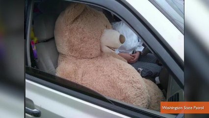Giant Teddy Bear Posing as a Passenger and 11 Other Crazy HOV Lane Violations