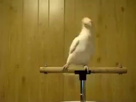 VID-20140828-WA0000.3gp