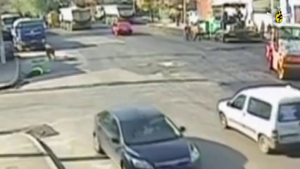 (Awesome) People Chased By Animals Supercut Compilation 2014!