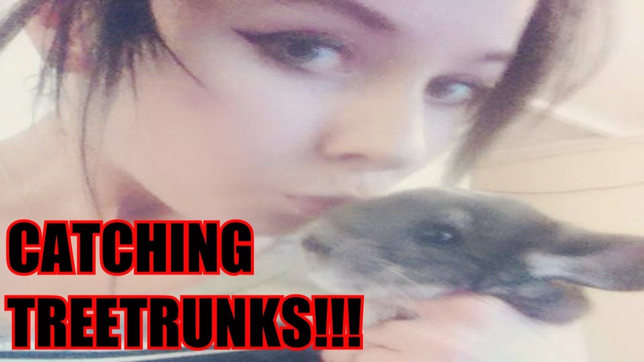 CATCHING TREETRUNKS MY CHINCHILLA