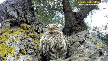 Müdür Yardımcısı Bakışlı Baykuş ve Öğrencileri