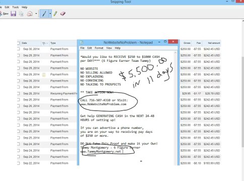 Ty Long's No Website Program | $5500 in 11days Video Proof