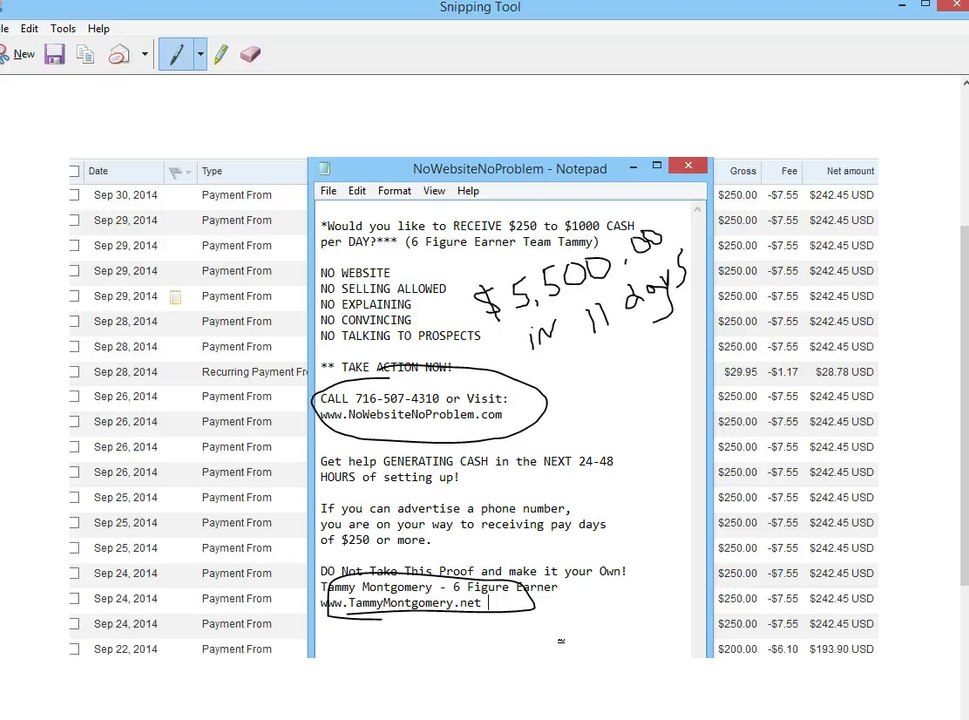 Ty Long's No Website Program | $5500 in 11days Video Proof