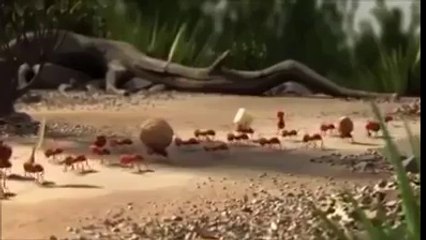 union is strength...