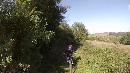 marcassins 1er octobre