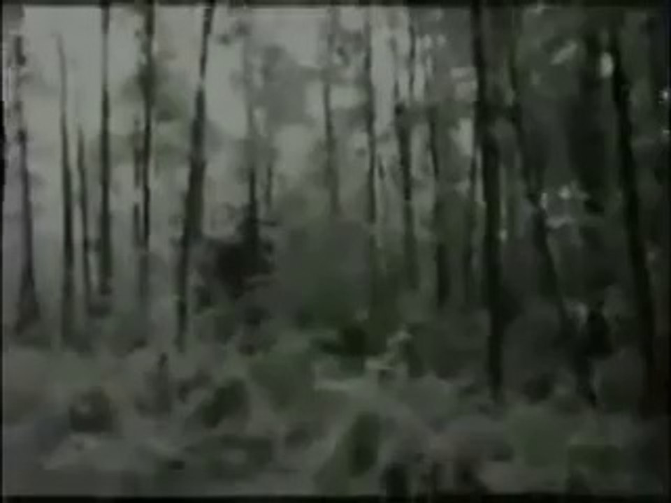 Parapsychology. U.S.A. Area 51 Dreamland Animal Predator Using Invisibility