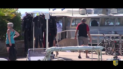 PORT DE BORMES LES MIMOSAS