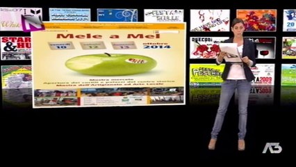 NOTES - 01-10-2014 (A3Replay)