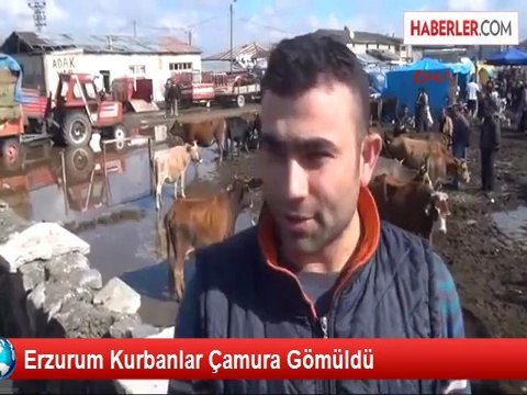 Erzurum'da Kurbanlar Çamura Gömüldü