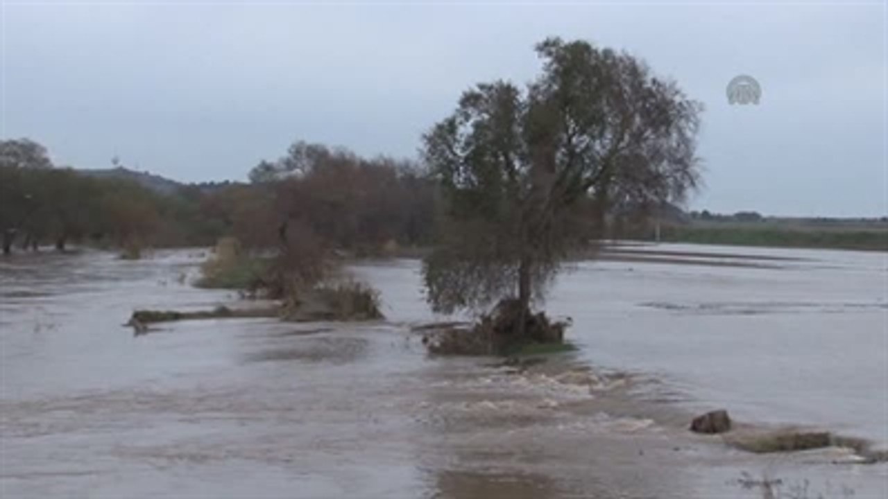 Meyve Bahçelerinde Eksik Hasar Tespiti