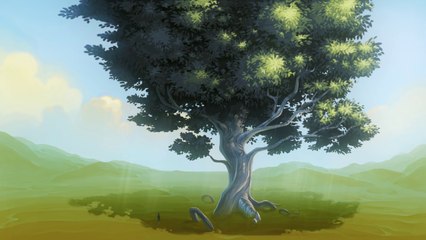 "Montagnes" - le film