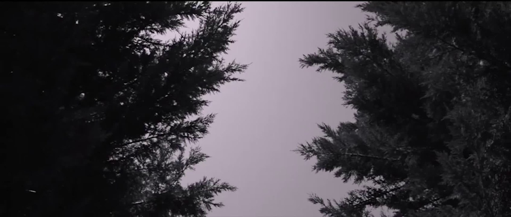 The Giver Intro