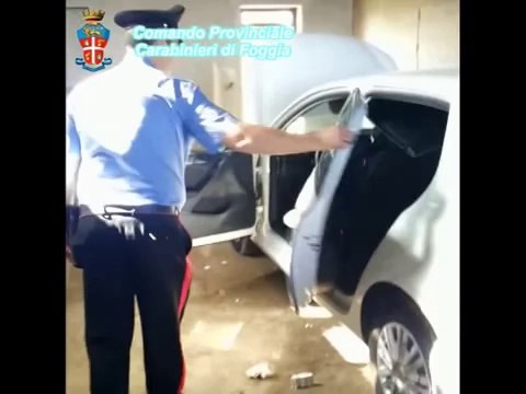 Orta Nova (Fg) - Deposito di auto rubate, un arresto (01.10.14)