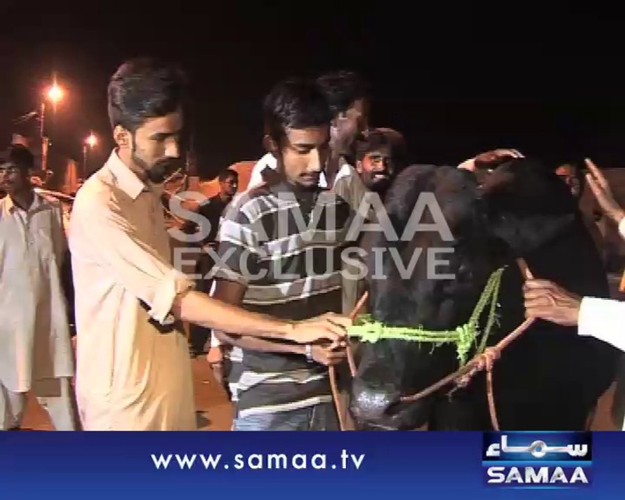 14 lac ka Gullu Butt