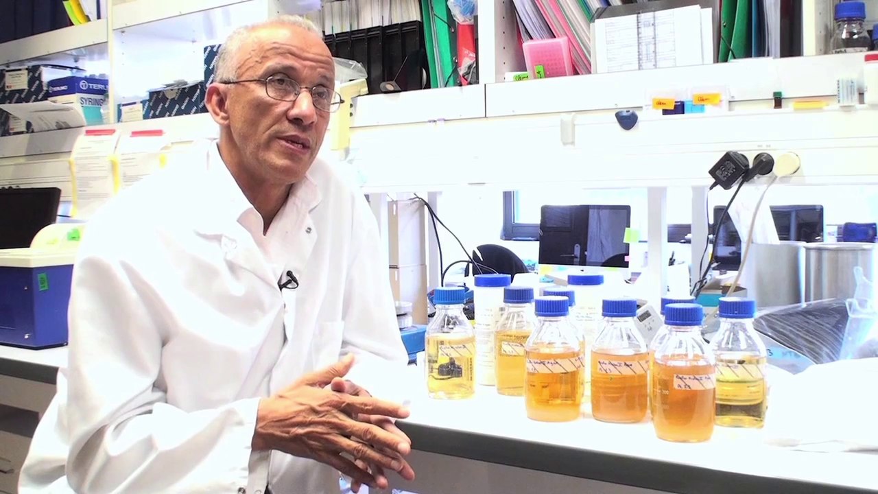 Institut Pasteur- La mucoviscidose - Lhousseine Touqui