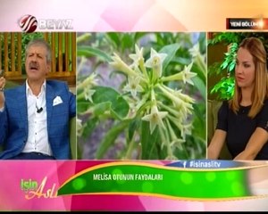 İşin Aslı 02.10.2014