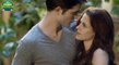 ‘The Twilight Saga’ To RETURN With Five Short Films