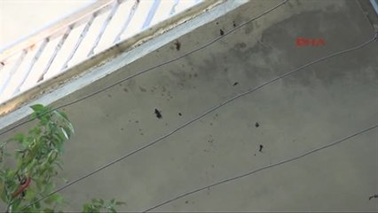 Antalya 10 Yaşındaki Çocuk, 8 Yaşındaki Arkadaşını Vurdu