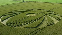 Crop Circles