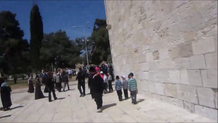 Jewish Families Attacked on Temple Mount