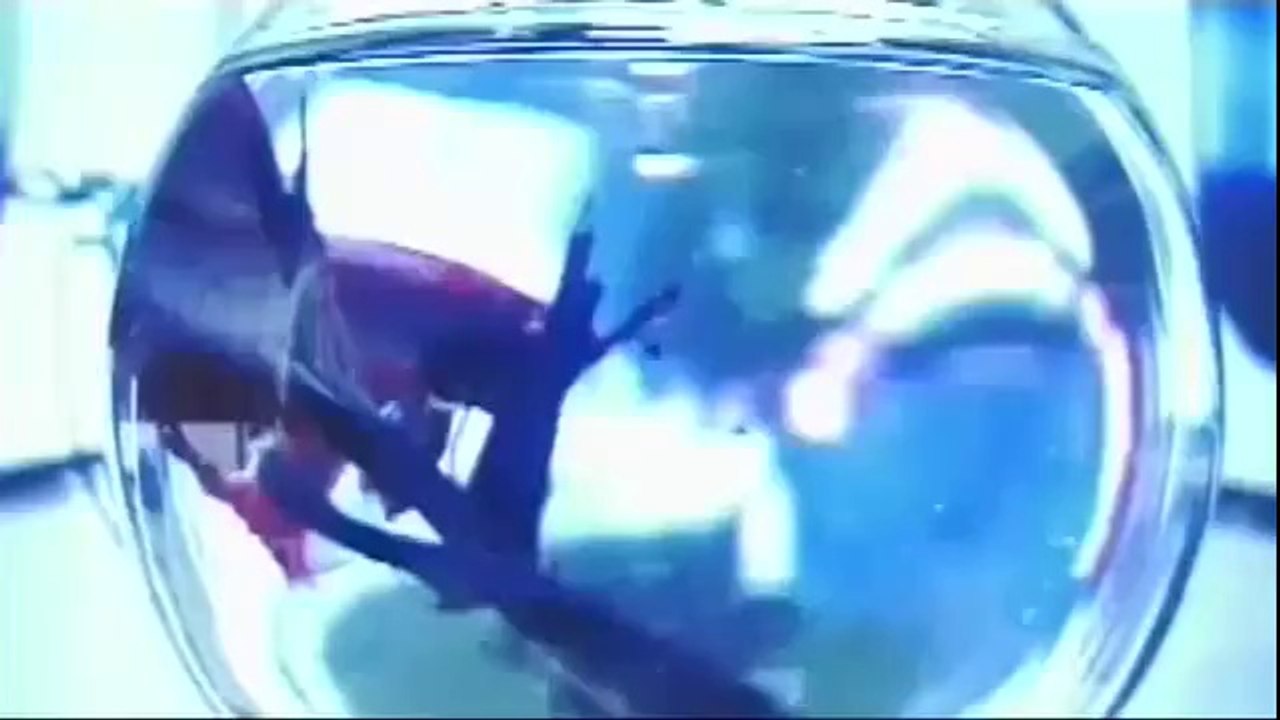 Dir en grey - Yokan VOST