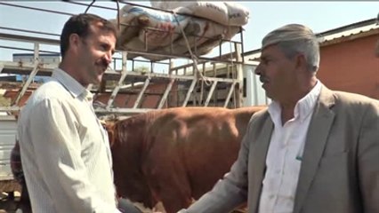 Kurban Bayramı'na Doğru