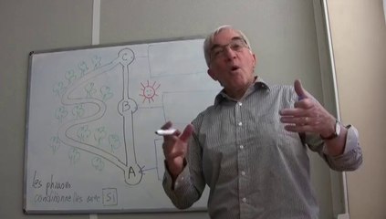 Leçon sur le conditionnel par Dominique - CPU-Lyon