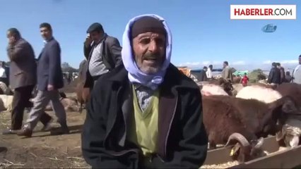 Kaçan Kurbanlıklar Sahiplerine Zor Anlar Yaşattı