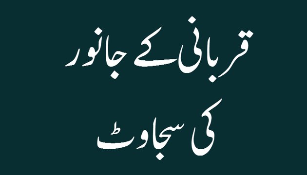 Qurbani Kay Janwar Ki Sajawat - Madani Guldasta 04