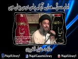 Imam Hassan(a.s) Hamaray aapkay Pas Dars Yahan hain | Allama Aqeel Ul Gharvi