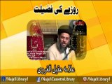 Rozay Ki Fazilat | Allama Aqeel Ul Gharvi