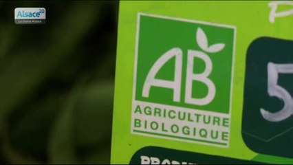 Hebdo DD : Le développement durable en Alsace (01/10/14)