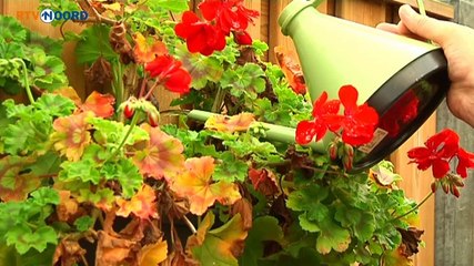 Ik maak me zeker wel zorgen - RTV Noord