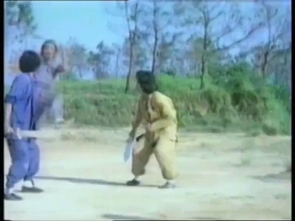 Anthologie des Arts Martiaux : Top Fighter-Présentation