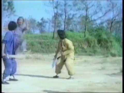 Anthologie des Arts Martiaux : Top Fighter-Présentation