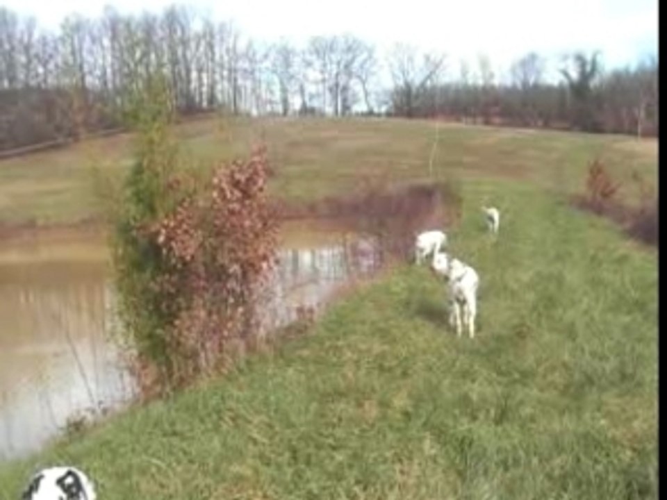 promenade au bord d'un lac collinaire
