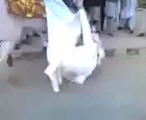 dolha sb ka confidence dekhain.