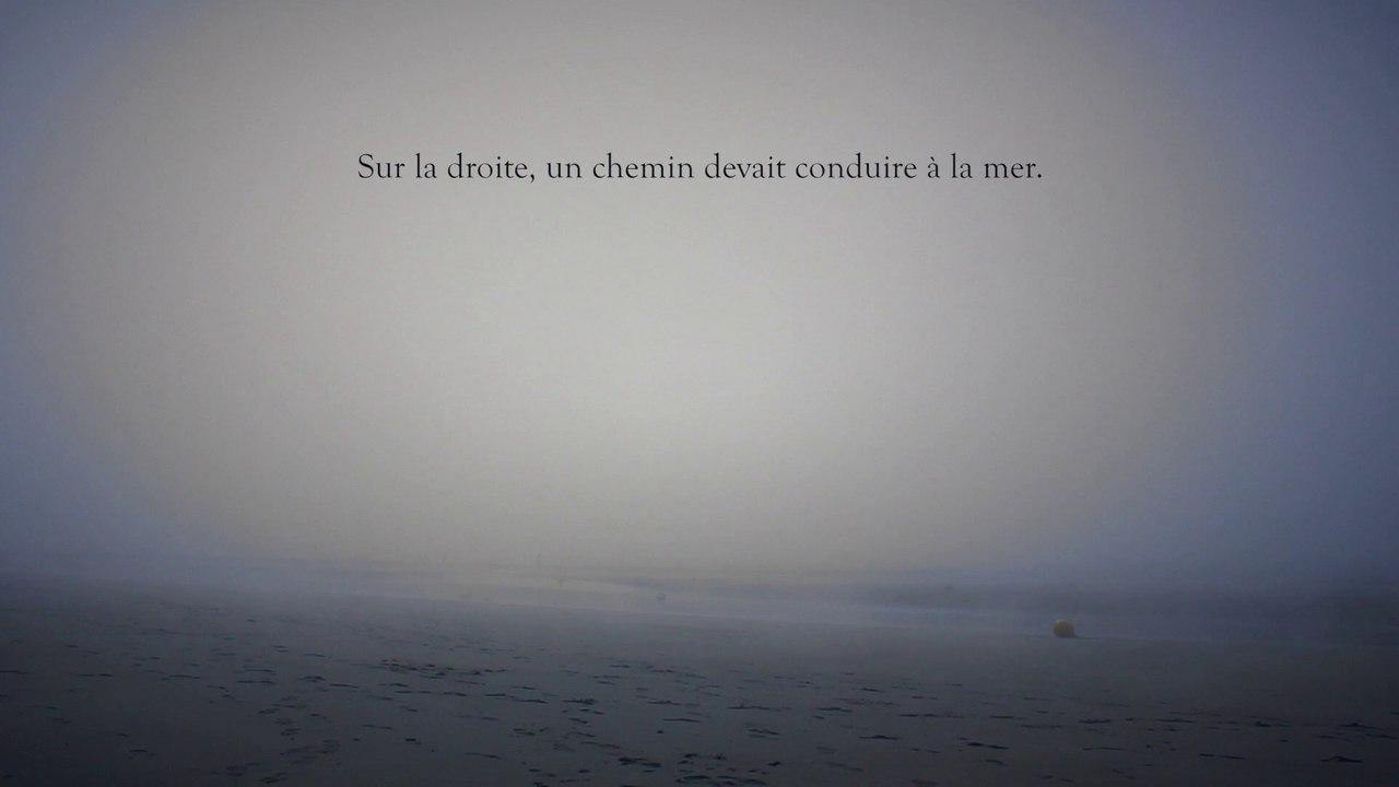 Sur la droite / LES PARTICULES ÉLÉMENTAIRES / Michel Houellebecq - Julien Gosselin / Odéon-Berthier