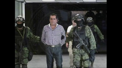 DEA aplaude captura de Beltrán Leyva