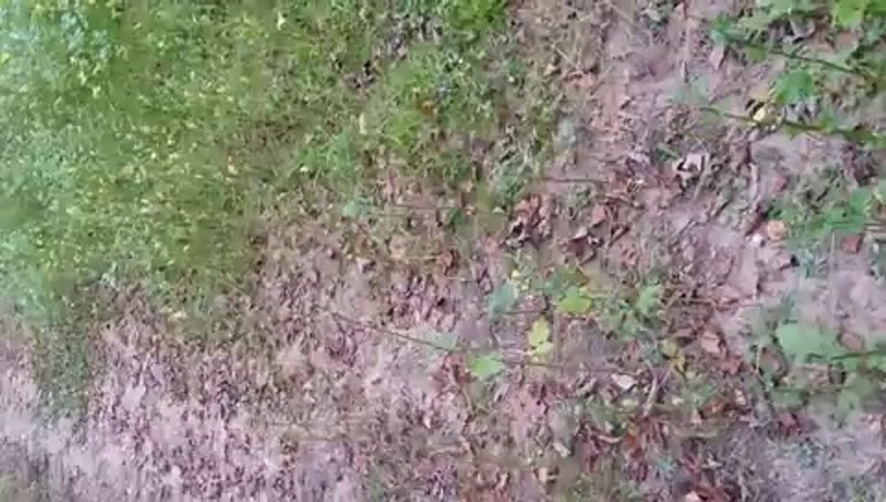 ok